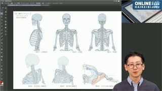 キャラクター作画の首から胸の解剖学(前後編)