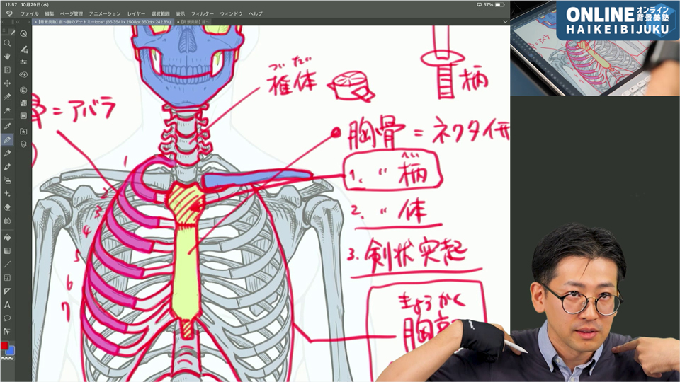 キャラクター作画の首から胸の解剖学(前後編)