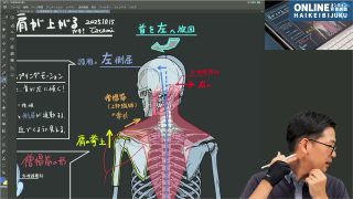 キャラクター作画の首から胸の解剖学(前後編)