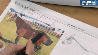 ラフから楽に始めるプロポーション～動物編～